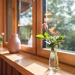 펜션 Lug Ins Tal - Gruppenhaus 바이에르스브론