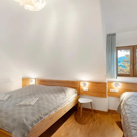 Vakantiehuis Lug Ins Tal - Gruppenhaus Baiersbronn
